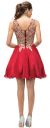 Sleeveless Embroidered Bodice Short Homecoming Party Dress back
